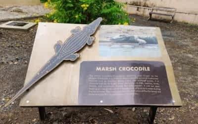 Interpretation Zone & Crocodile Breeding Center