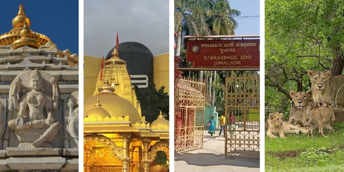 Junagadh Local Sightseeing